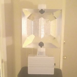 Luxury Lighting DE 1000 Hps Lamp